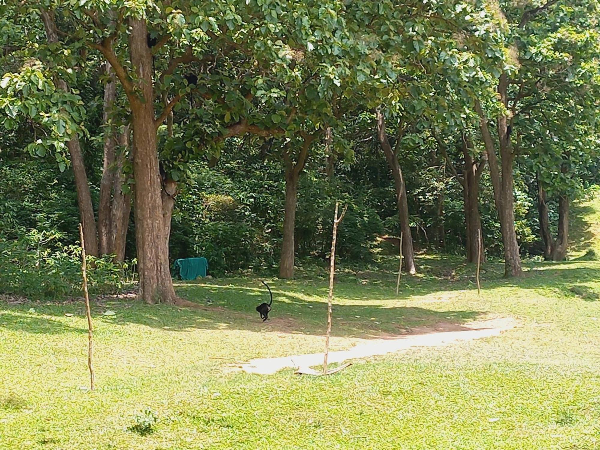 Wild Window - Forest View Homestay Thekkady Exterior foto