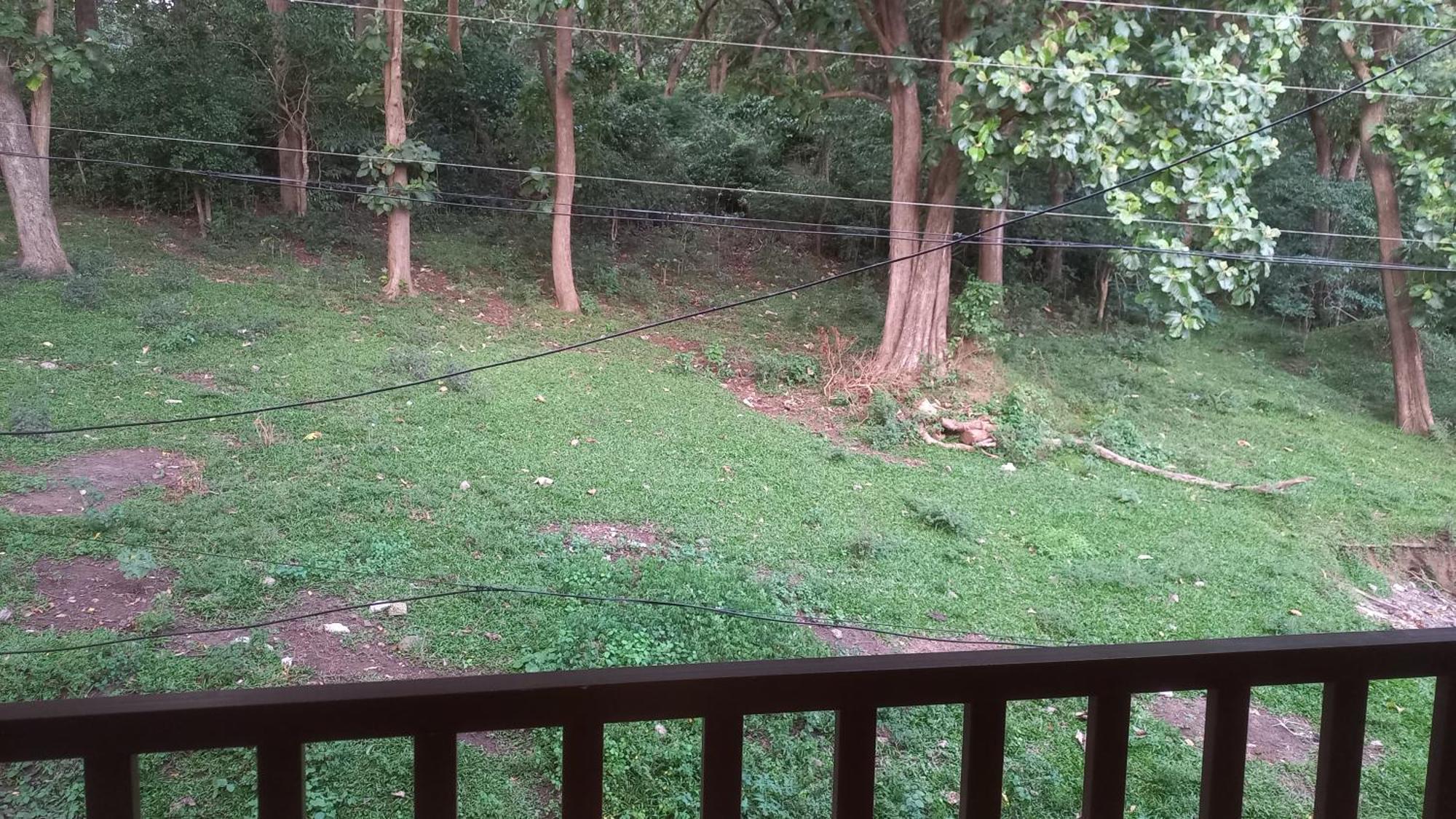 Wild Window - Forest View Homestay Thekkady Exterior foto