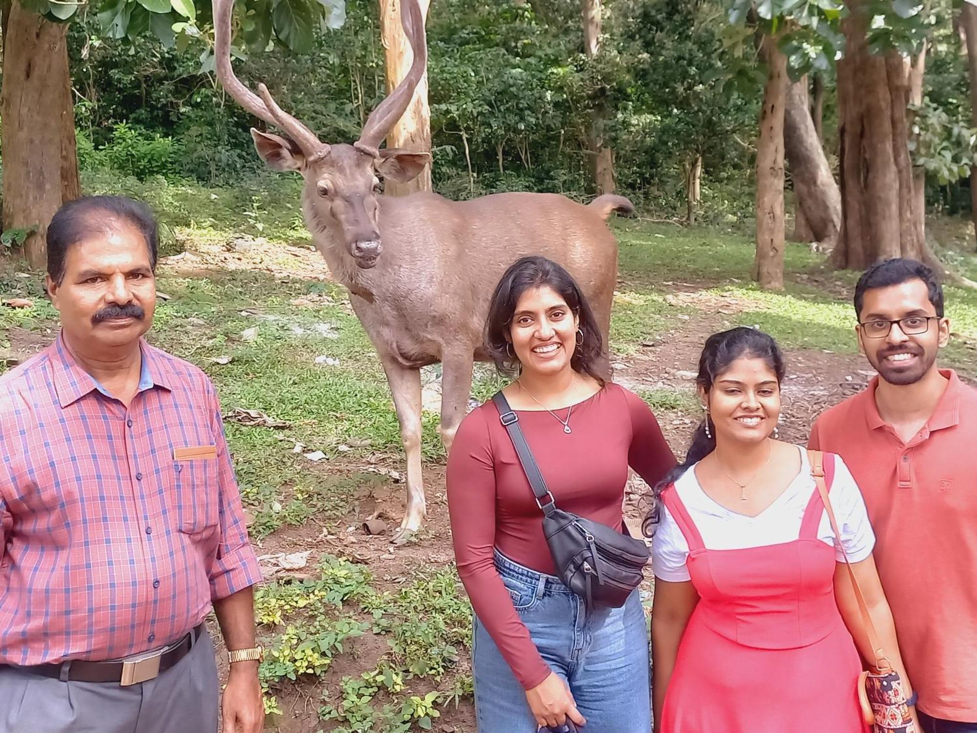 Wild Window - Forest View Homestay Thekkady Exterior foto