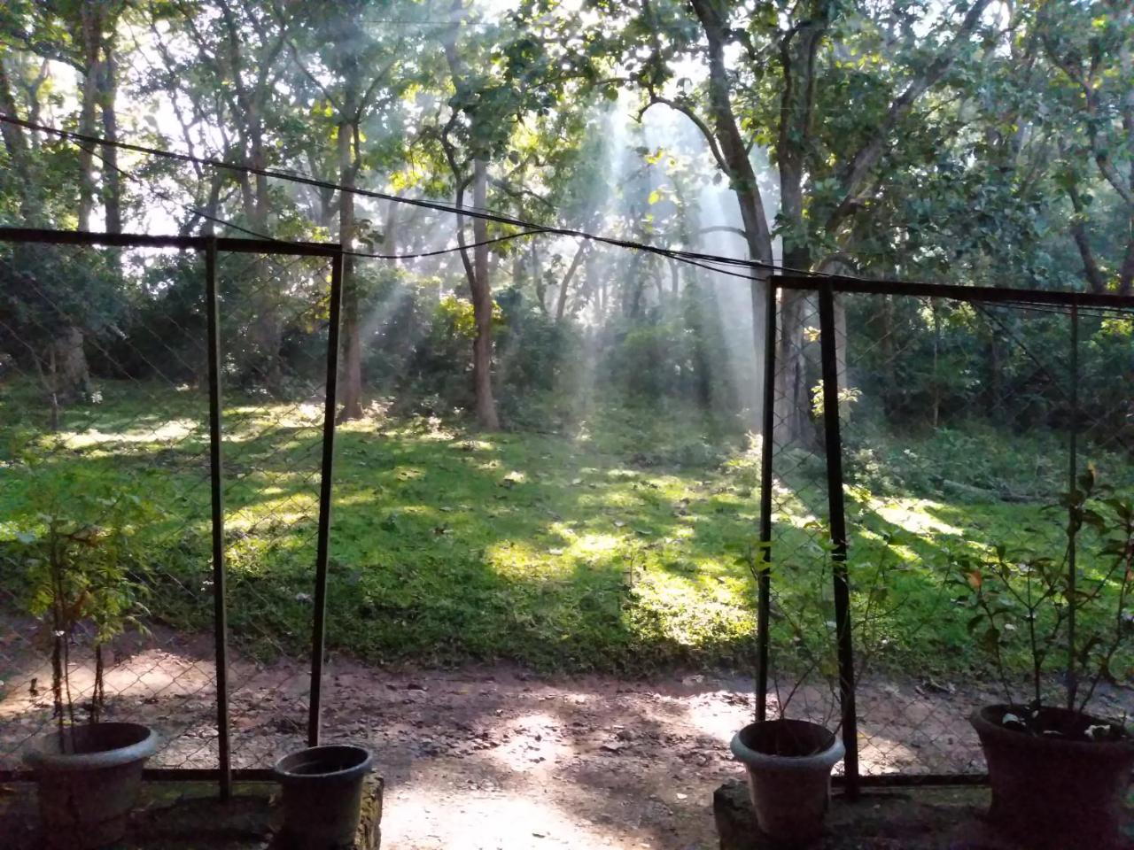Wild Window - Forest View Homestay Thekkady Exterior foto