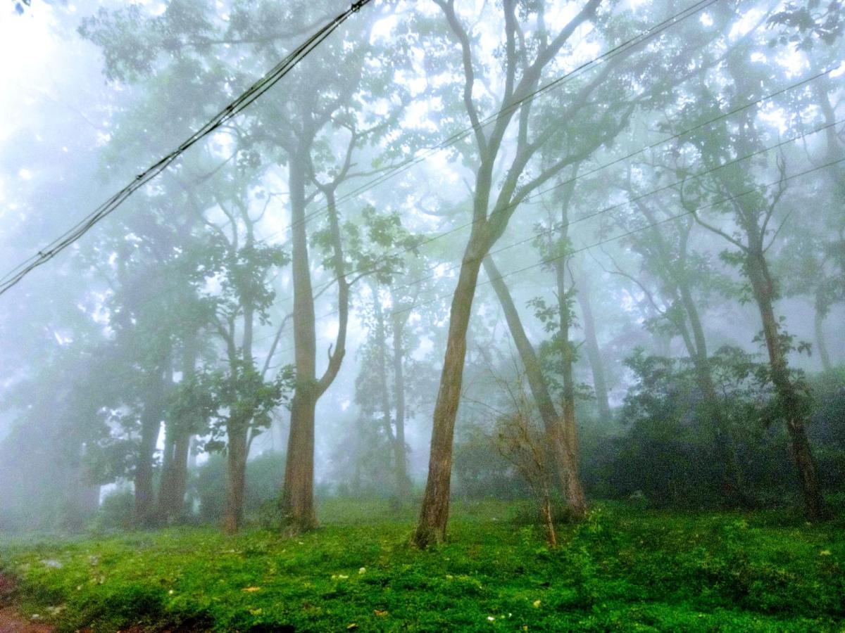 Wild Window - Forest View Homestay Thekkady Exterior foto